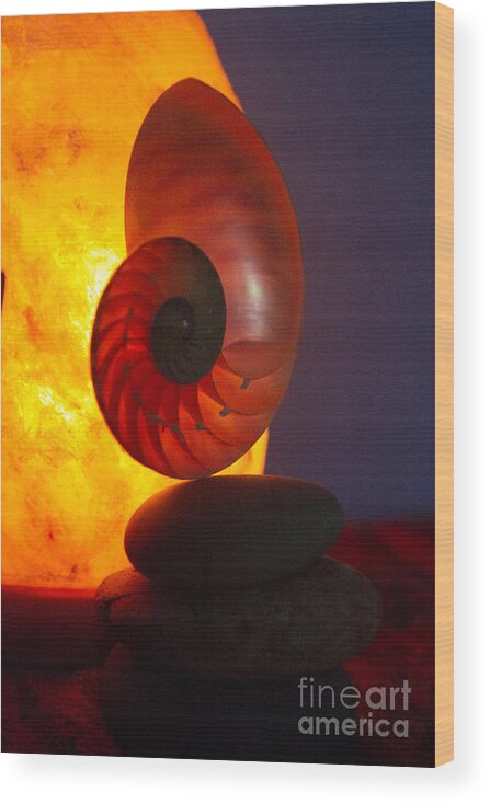 Spiral Wood Print featuring the photograph Sacred Spiral 3 by Jeanette French