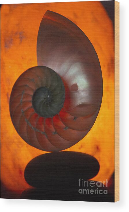 Spiral Wood Print featuring the photograph Sacred Spiral by Jeanette French