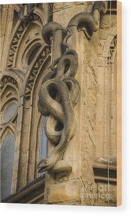 Sagrada Familia Wood Print featuring the photograph Sagrada Serpent Gargoyle by Deborah Smolinske