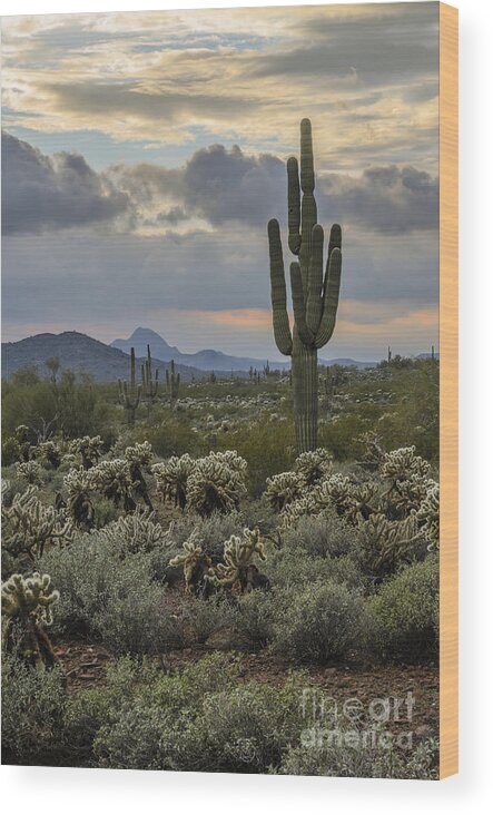 Saguaro Wood Print featuring the photograph Saguaro and Storm Clouds by Tamara Becker