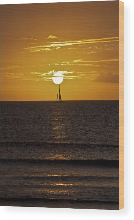 Aruba Wood Print featuring the photograph Sailing at Sunset by David Letts