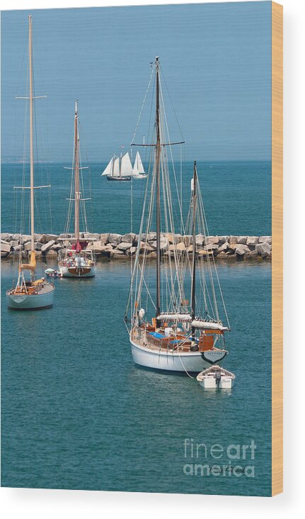 Sailboat Wood Print featuring the photograph Sailing Away by Michelle Constantine