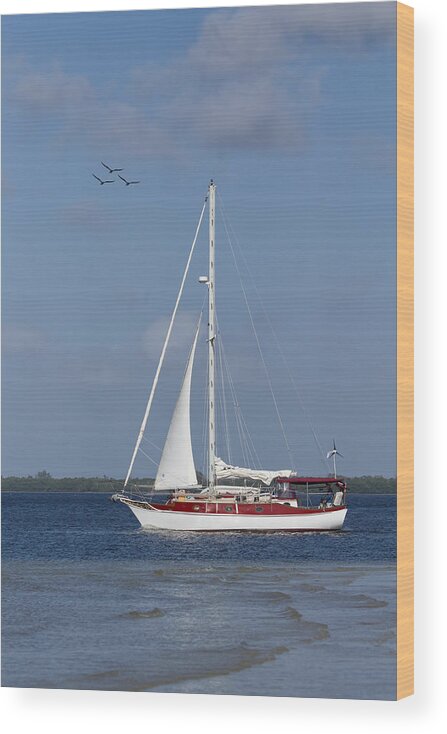 Sail Boat Wood Print featuring the photograph Sailing The Ocean Blue by Kim Hojnacki