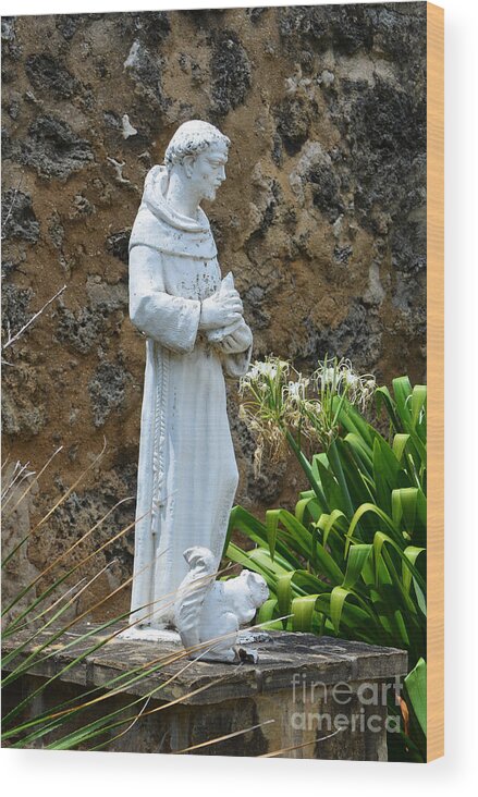 San Antonio Wood Print featuring the photograph Saint Francis of Assisi Statue at Mission San Jose in San Antonio Missions National Historical Park by Shawn O'Brien