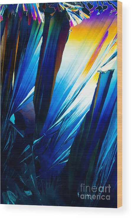 Abstract Wood Print featuring the photograph Salicylic acid crystals in polarized light by Stephan Pietzko