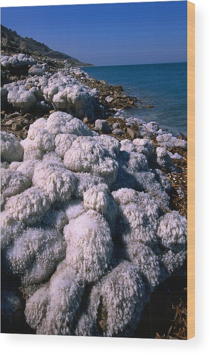 Mineral Wood Print featuring the photograph Salt Formations On The Shores Of The by John Elk