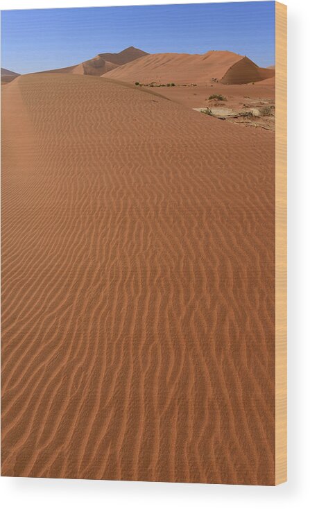 Sossusvlei Wood Print featuring the photograph Sand Castle by Tony Beck
