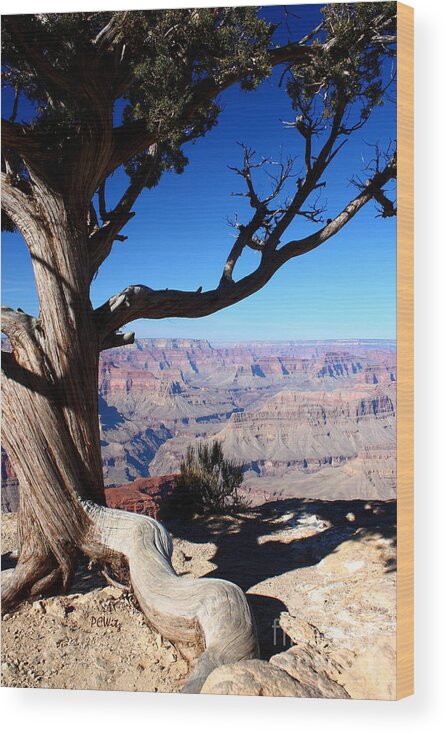 Scenic Survival Wood Print featuring the photograph Scenic Survival by Patrick Witz