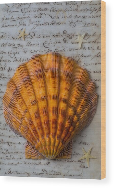 Seashells Wood Print featuring the photograph Seashell and words by Garry Gay