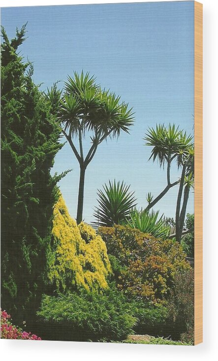 Garden Wood Print featuring the photograph Seaside Garden by Dody Rogers