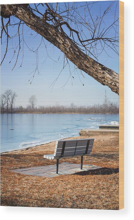 Frozen Lake Wood Print featuring the photograph Seating Bench by Linda Tiepelman