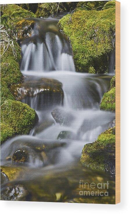 Water Wood Print featuring the photograph Secret Falls by Dianne Phelps