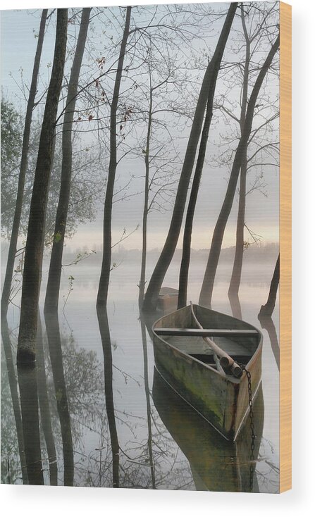 Serene Wood Print featuring the photograph Serene Dawn by Rui David