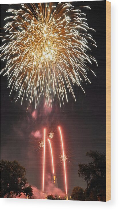 Fireworks Wood Print featuring the photograph Shades of Gold Explode by Kevin Munro