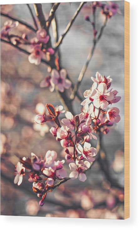 Spring Wood Print featuring the photograph Signs of Spring by Joshua Minso