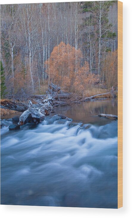 Nature Wood Print featuring the photograph Silence Of The Fall by Jonathan Nguyen