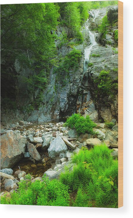 Crawford Notch Wood Print featuring the photograph Silver Cascade In The Mist by Jeff Sinon