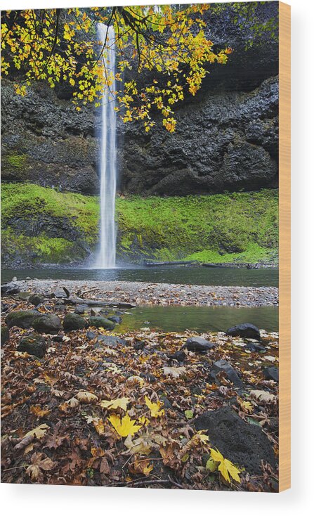 Waterfalls Wood Print featuring the photograph Silver Falls in Fall by Quynh Ton