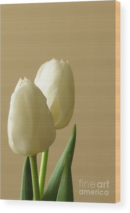 White Orchids Wood Print featuring the photograph Simplicity by Anita Adams