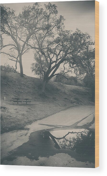 Sunol Ohlone Regional Wilderness Wood Print featuring the photograph Simply Pretend by Laurie Search