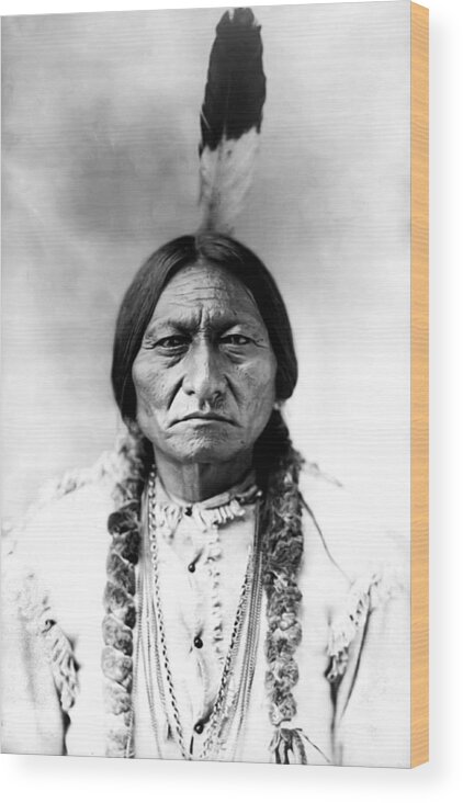 Sitting Bull Wood Print featuring the photograph Sitting Bull by Bill Cannon
