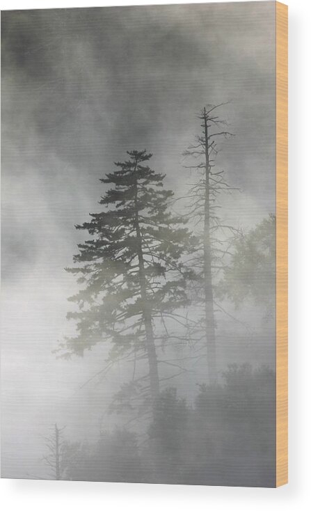 Art Prints Wood Print featuring the photograph Smoky Mountain Mist by Nunweiler Photography