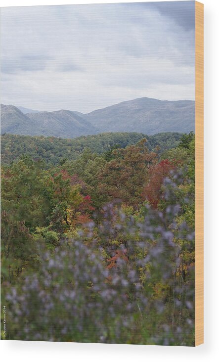Gatlinburg Wood Print featuring the photograph Smoky Mountain Vista by Debbie Karnes