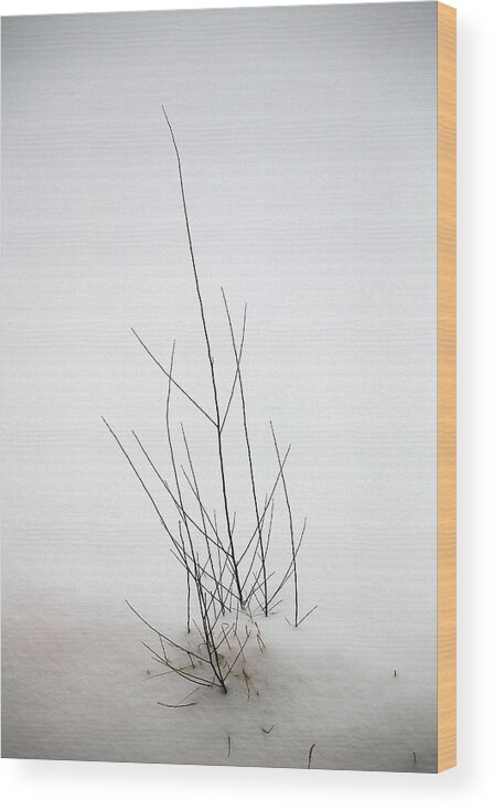 Ulaanbaatar Wood Print featuring the photograph Snow Drifts in Mongolia by Diane Height