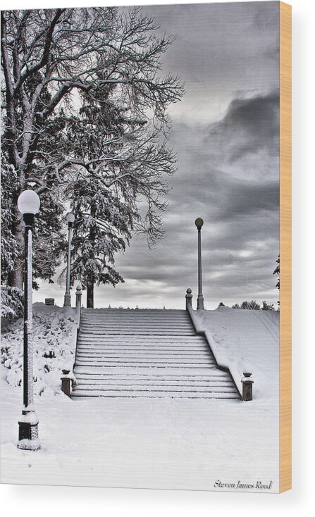 Cityscape Wood Print featuring the photograph Snow Stairs by Steven Reed