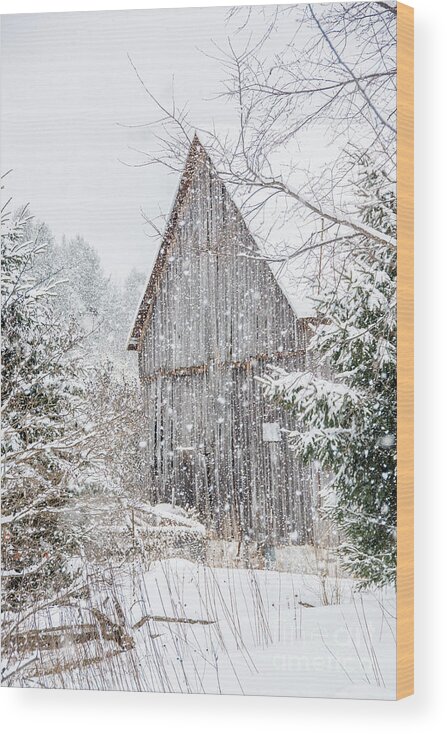 Snow Wood Print featuring the photograph Snowing on the Farm by Cheryl Baxter