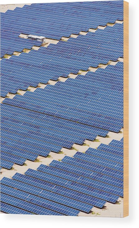 Energy Conservation Wood Print featuring the photograph Solar Array In Greece by David Parker/science Photo Library