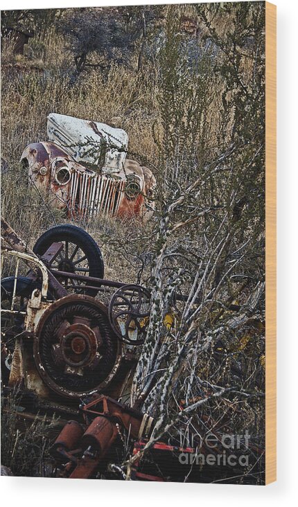 Leecraig Wood Print featuring the photograph Some Ford in the Weeds by Lee Craig