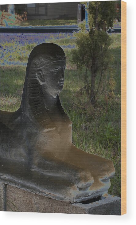 Color Wood Print featuring the photograph Sphinx Statue Three Quarter Profile Solar USA by Sally Rockefeller