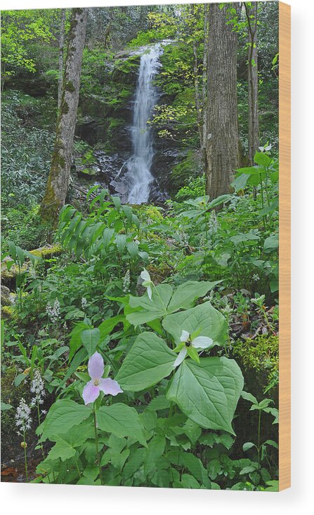 Waterfall Wood Print featuring the photograph Spring at Secluded Falls by Alan Lenk