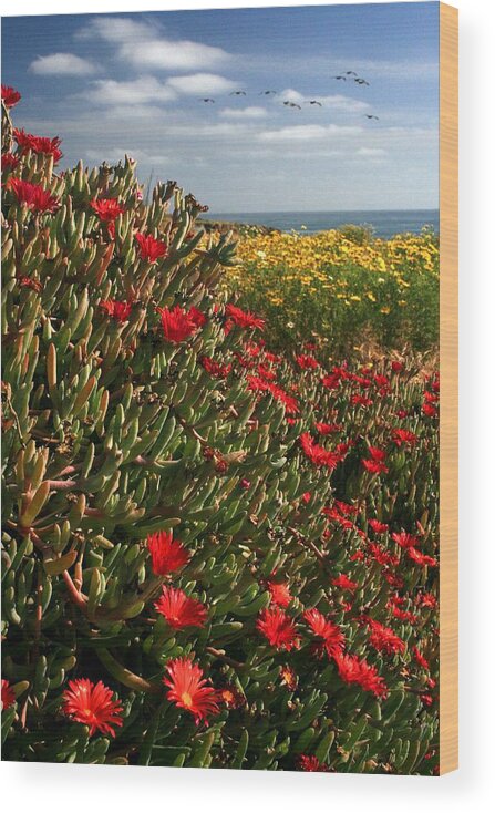 Landscape Wood Print featuring the photograph Spring Flowers by Scott Cunningham