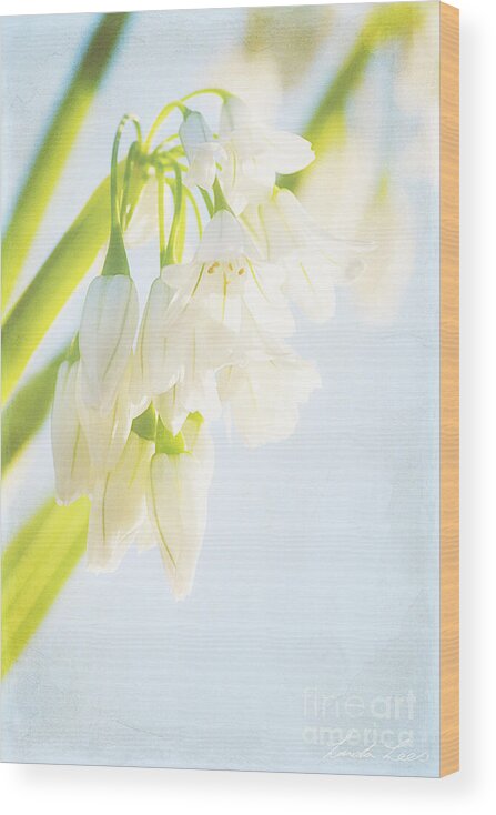 White Wood Print featuring the photograph Spring passes and one remembers one's innocence by Linda Lees