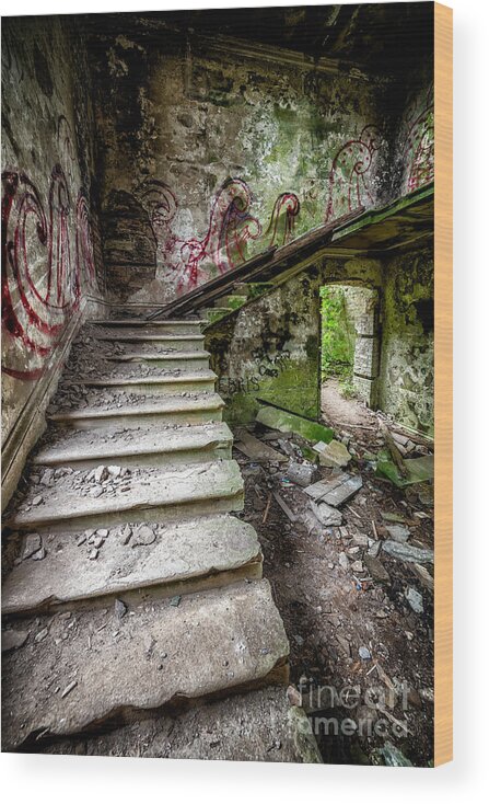 Mansion Wood Print featuring the photograph Stairway Graffiti by Adrian Evans