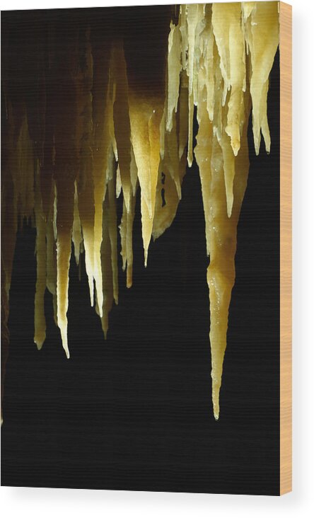 Calcite Formation Wood Print featuring the photograph Stalactites, Castellana Caves, Italy by Francesco Tomasinelli