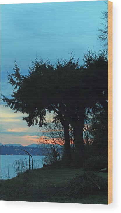 West Seattle Wood Print featuring the photograph Standing Guard for Dawn by E Faithe Lester