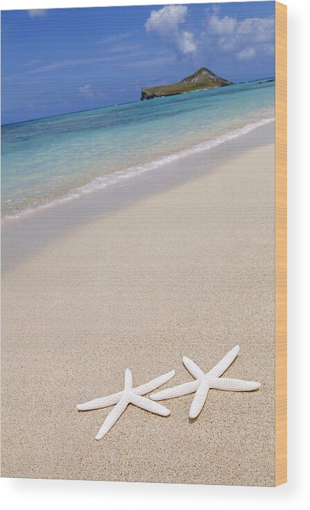 Beach Wood Print featuring the photograph Starfish on Beach by Brandon Tabiolo