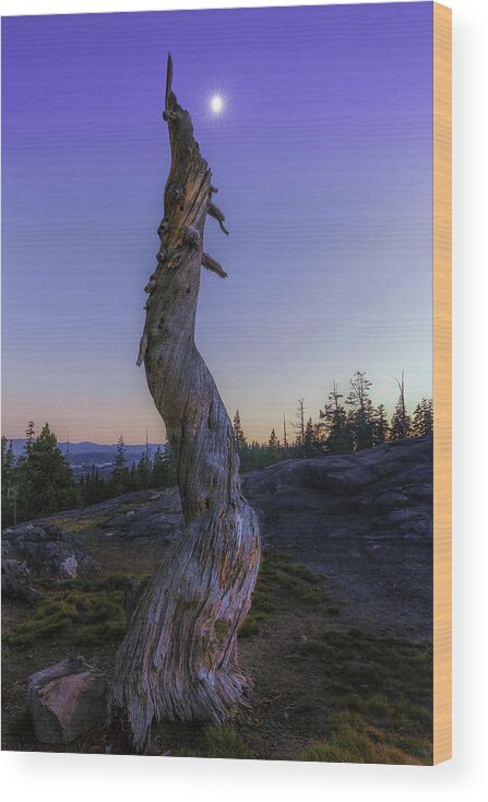Lake Alpine Wood Print featuring the photograph Starry Moon by Don Hoekwater Photography