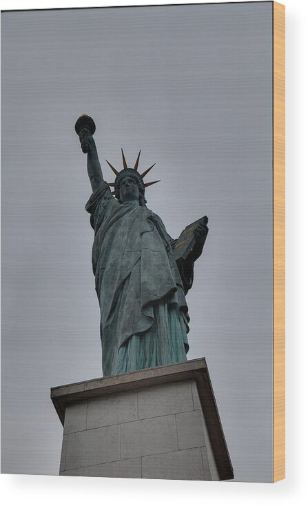 Aod Wood Print featuring the photograph Statue of Liberty - Paris France - 01131 by DC Photographer