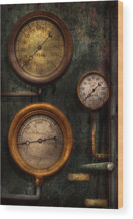 Steampunk Wood Print featuring the photograph Steampunk - Plumbing - Gauging success by Mike Savad