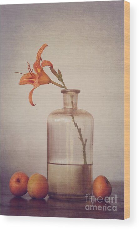 Still Life Wood Print featuring the photograph Still life with apricots by Diana Kraleva