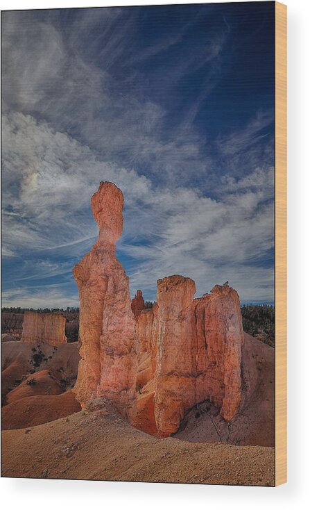 Landscape Wood Print featuring the photograph Still Standing. by Anatoly Petrenko