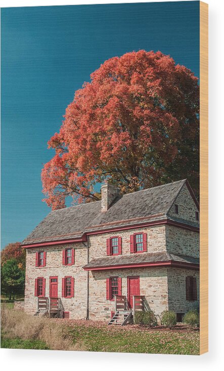 House Wood Print featuring the photograph Stone House and Tree by Don Johnson
