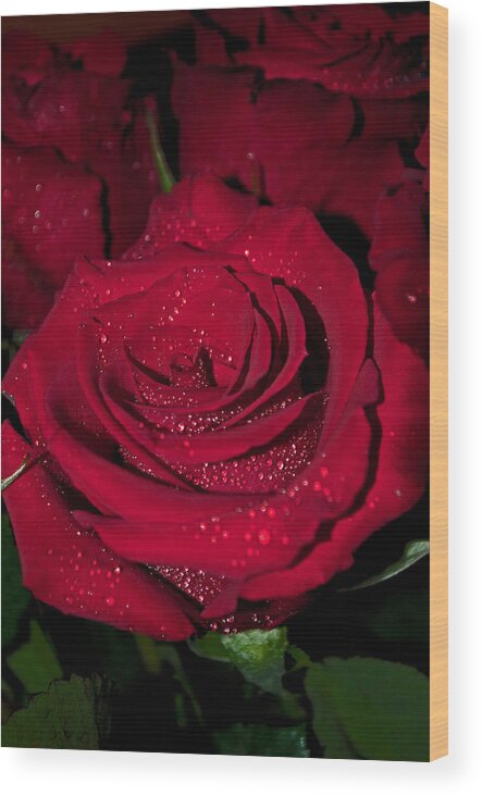 Romantic Wood Print featuring the photograph Stop to Smell the Roses by Tikvah's Hope