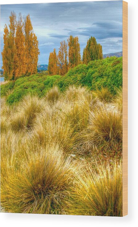 Tussock Wood Print featuring the photograph Storm approaches by Jenny Setchell