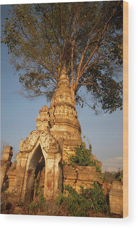 Outdoors Wood Print featuring the photograph Strangler Fig Overtaking Buddhist Stupa by Jim Simmen