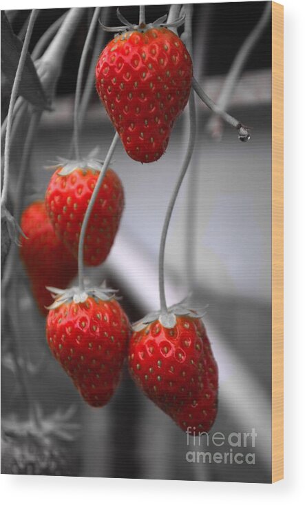 Michelle Meenawong Wood Print featuring the photograph Strawberries by Michelle Meenawong